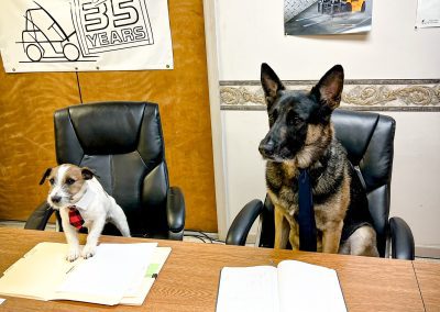 office pups